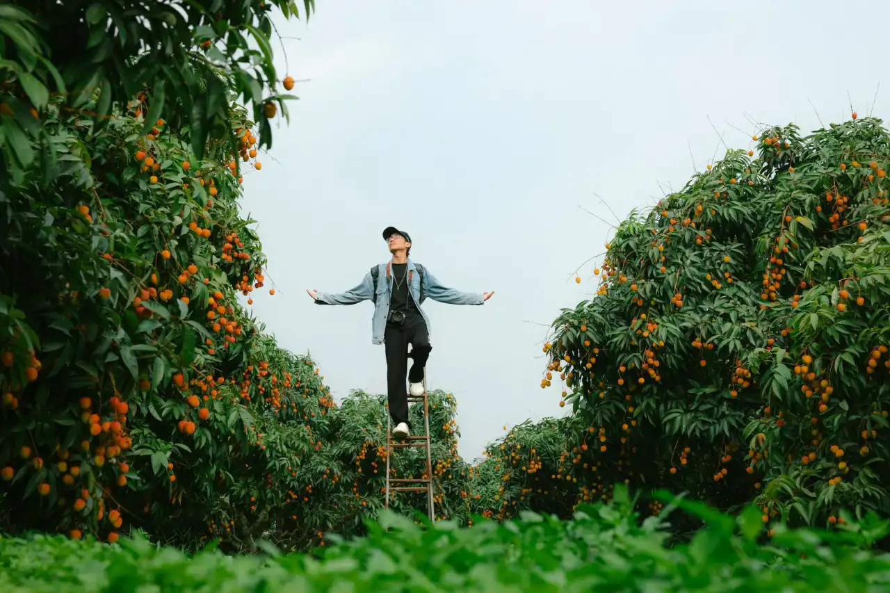 苏州北源微智能科技微电子方案在智能硬件中的技术应用解析