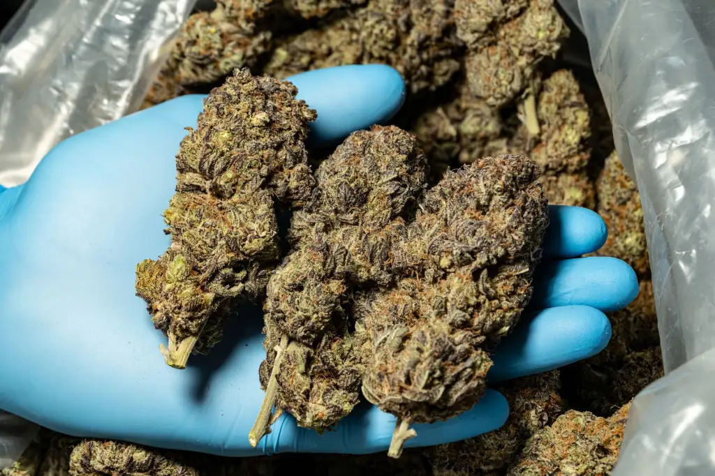 苏州北源微智能科技：微电子技术在智能设备中的关键应用解析