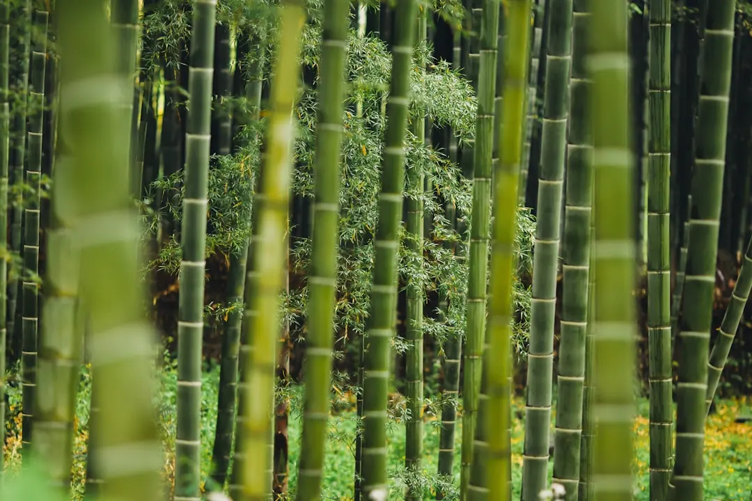 苏州北源微智能科技：面向长三角物联网场景的智能设备解决方案实践