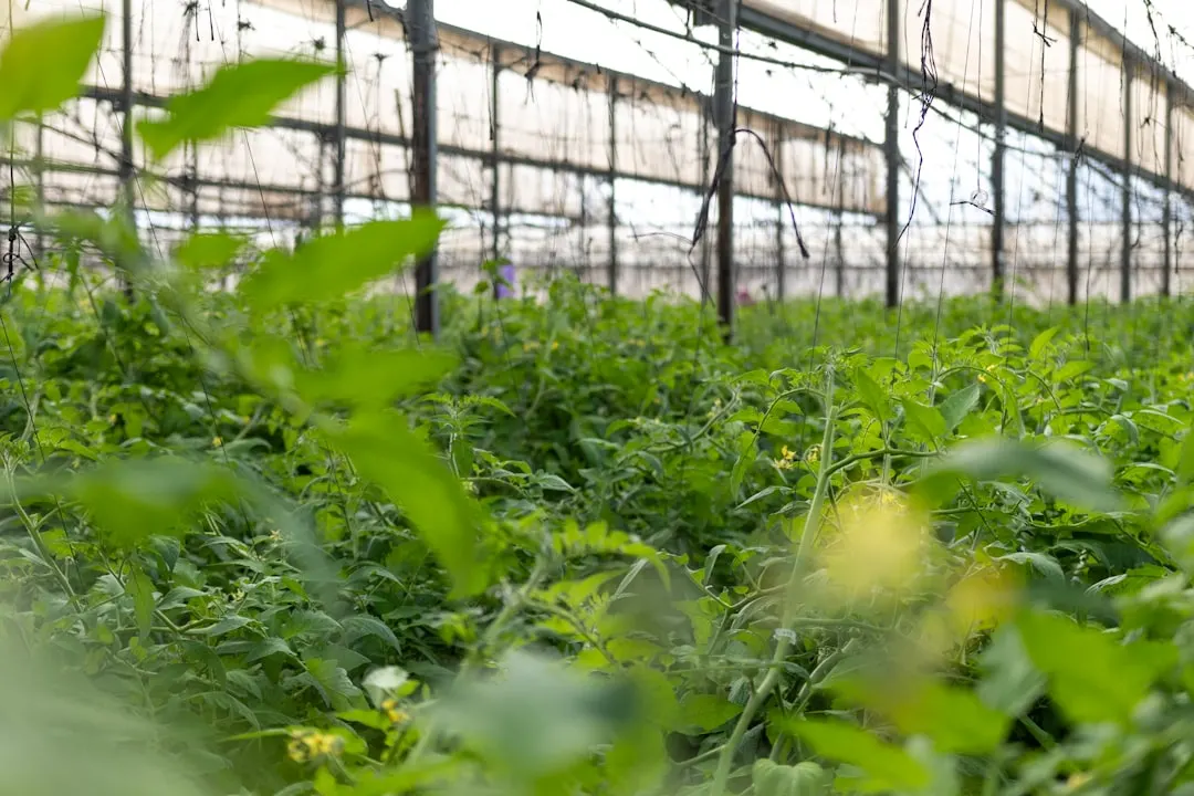 苏州北源微智能科技解析智能设备低功耗设计关键路径